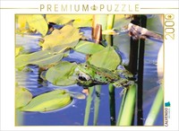 Calvendo Puzzle Gelassener Teichfrosch 2000 Teile Puzzle Quer | 2000 Teile Lege-