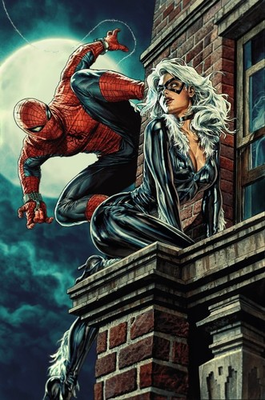 #ad 1:25 AMAZING SPIDER MAN #7 VIRGIN INCENTIVE 2nd PRINT BERMEJO BLACK CAT $55.00