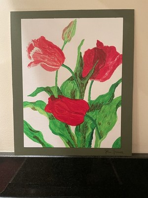 Drei kontrastierende Tulpenköpfe