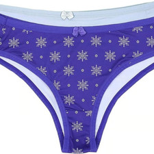 Hanes Women's Tagless Microfiber Cheeky Panties 2 Pair Size M/6