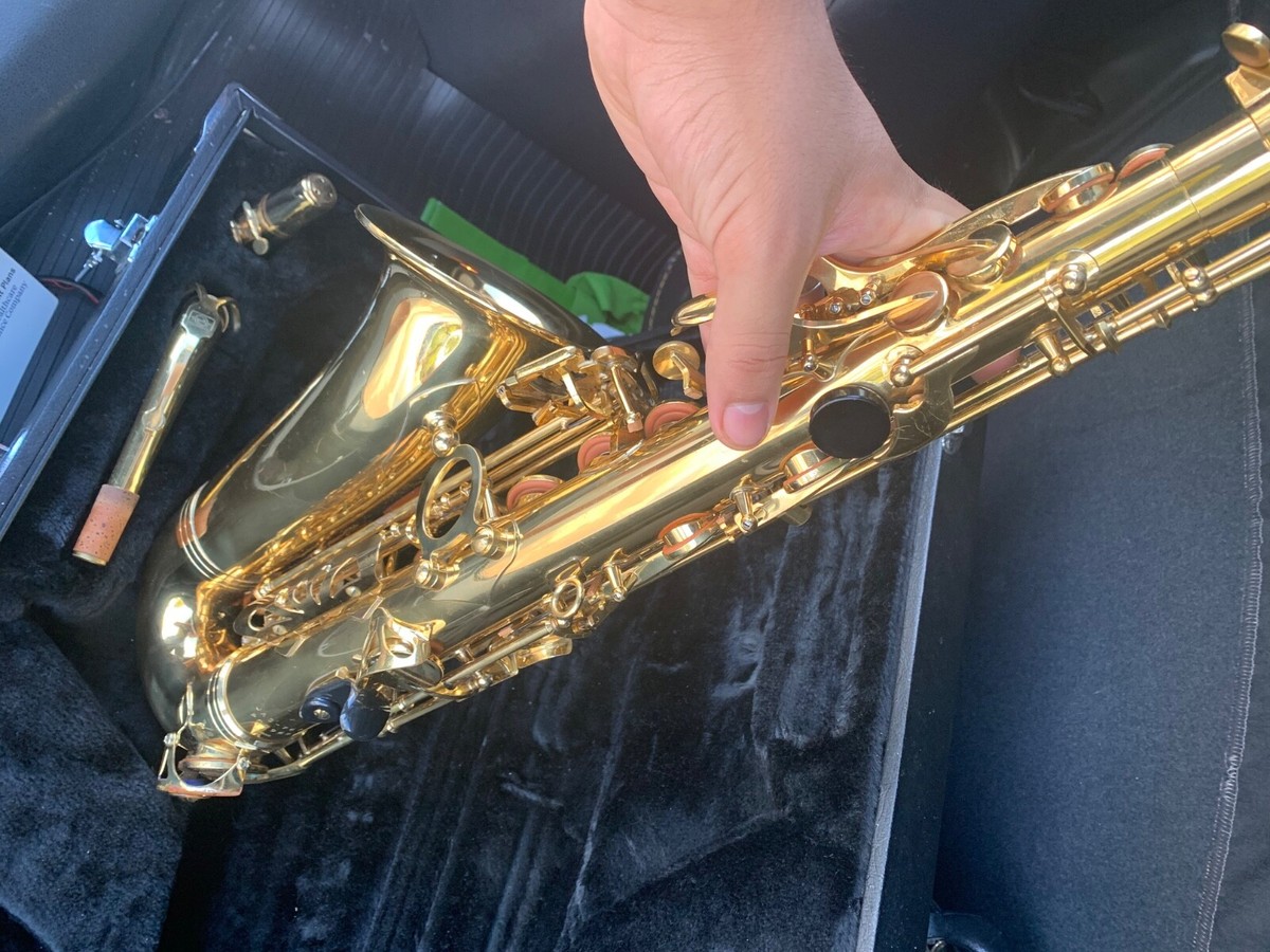 sota sax  Amazon.com: Sax Dakota SDA-1000 GO Professional Alto
