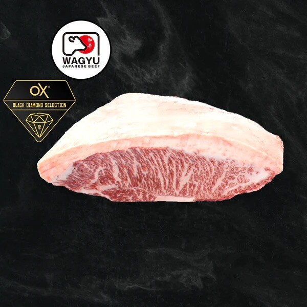 Gorra acanalada MiyazakiGyu A5 Wagyu 8 libras
