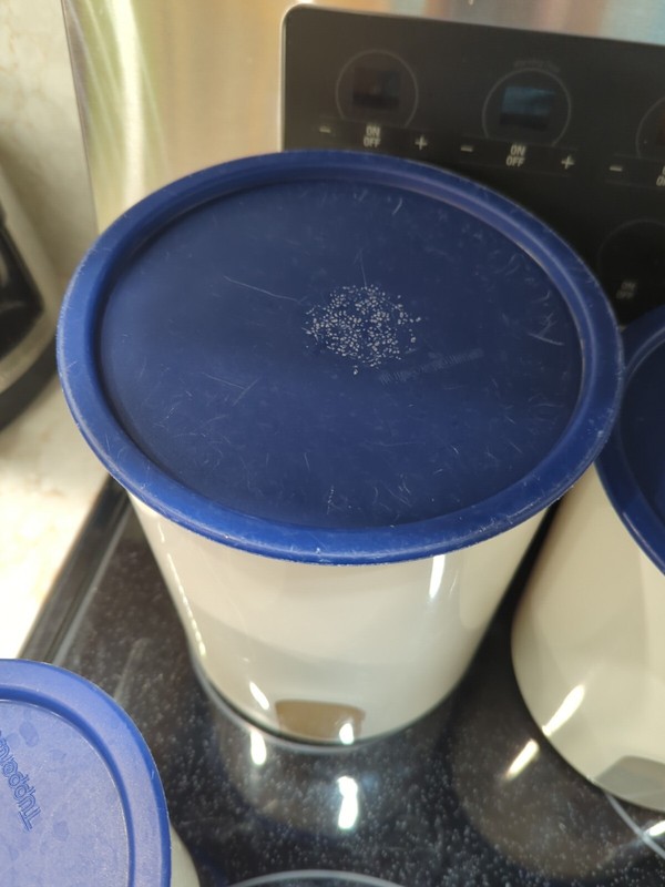 4 Tupperware One-Touch Reminder Canisters Set 2416B 2420D 2418B 2422B Blue Lids