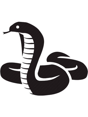 Cobra Premium Designer Versatile Stencil Template Reusable for Wall Decor, DIY P