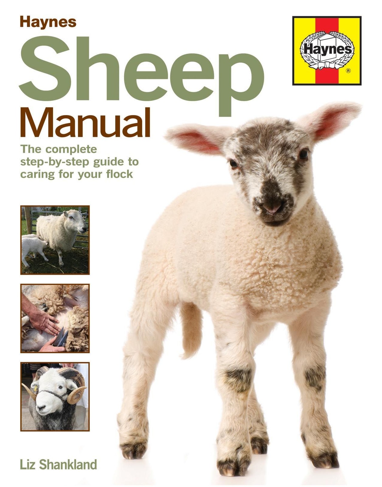 Sheep Manual Revue technique Haynes Anglais soigner maladies moutons