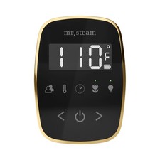 Mr Steam TF Tempoflex Steam Shower Control and Steamhead - Black