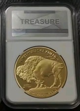 Lotto MONETA AMERICA BUFALO APACHE 1 OZ. Fine Gold 2024 PLACCATA ORO 