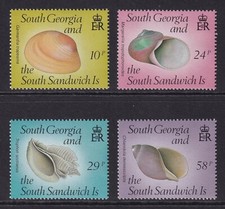 SOUTH GEORGIA 1988 QEII Seashells set of 4 SG 179-182 MNH/**