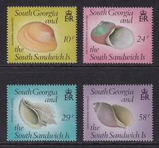 SOUTH GEORGIA 1988 QEII Seashells set of 4 SG 179-182 MNH/**