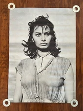 Vintage Sophia Loren Portrait Personality Poster Original 1966 42 X 29.25 Inches