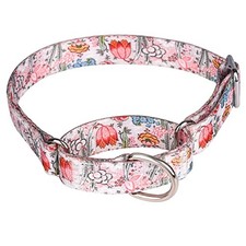 Heavy Duty Nylon Dog Collar, Adjustable Martingale Dog Collar for Walking Tra...