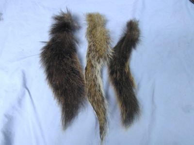 3 Dried Squirrel Tails, Black n Grey, Fly tying, Crafts, Lure Making