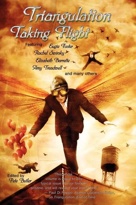 Triangulation Taking Flight Pete Butler Taschenbuch Kartoniert / Broschiert 2008