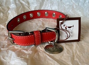 coach medium dog collar