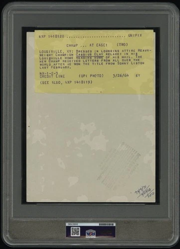 カシアスクレイ オリジナルニュースサービス フォトユナイテッドプレス インターナショナル PSA タイプ1 - 画像2/2
