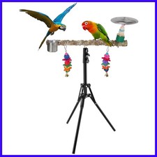 72" Parrot Stand, Adjustable Height Bird Perch, Pepper Wood Perch Stand, Para...