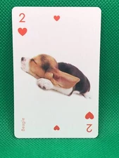 Beagle Heart  2 THE DOG  Playing card  Artlist Collection Japan