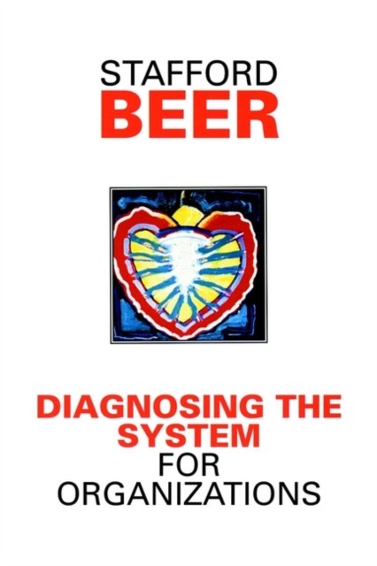 Diagnosing the System for Organizations by Stafford Beer (Paperback Book)