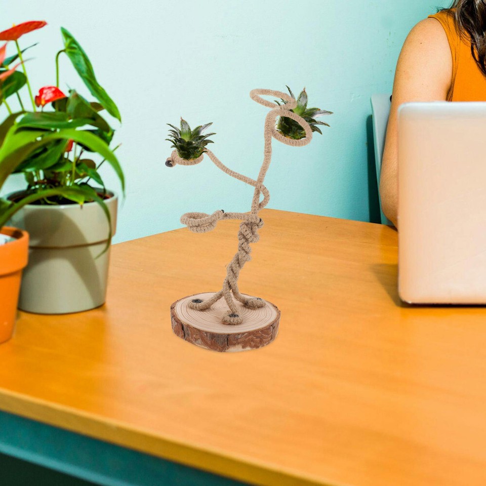 Plant Display Stand Air Holder Wall Pineapple Potted Office eBay