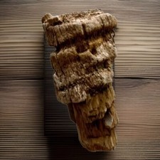 Madera petrificada de Argentina, Patagonia, Chubut 3,5 x 1,8 x 1 cm 26