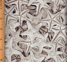 Coastal Drift Hoffman Cotton Fabric Fat Quarter FQ Starfish Silver Metallic FA55