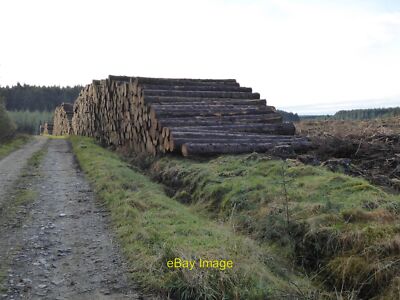Foto 6x4 Holzstapel von angrenzenden Klarsichtfällungen Ridley Stokoe Daneben c2021