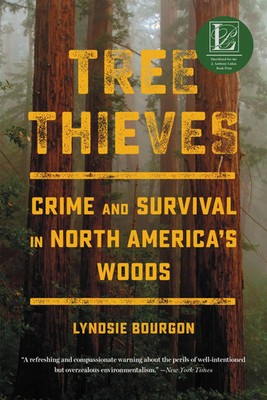 Tree Thieves | Lyndsie Bourgon | Englisch | Taschenbuch | 2023