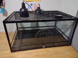 Front-Opening Glass Reptile Terrarium Enclosure, Screen Top, Dual Dome Lamps