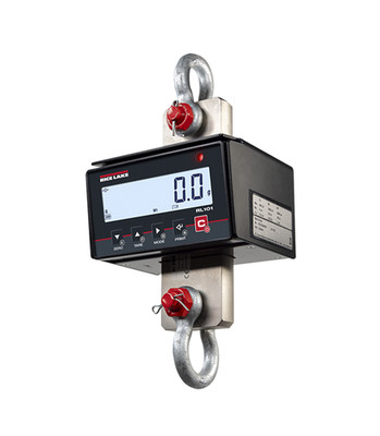 Rice Lake RL101-3K BTH Crane Scale   High Precision 3000 lb Capacity with 1 lb