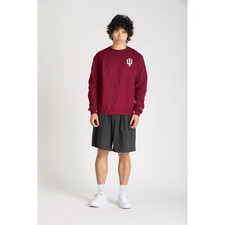 NCAA Indiana Hoosiers Men's Champion Crew Neck Sweatshirt - XL