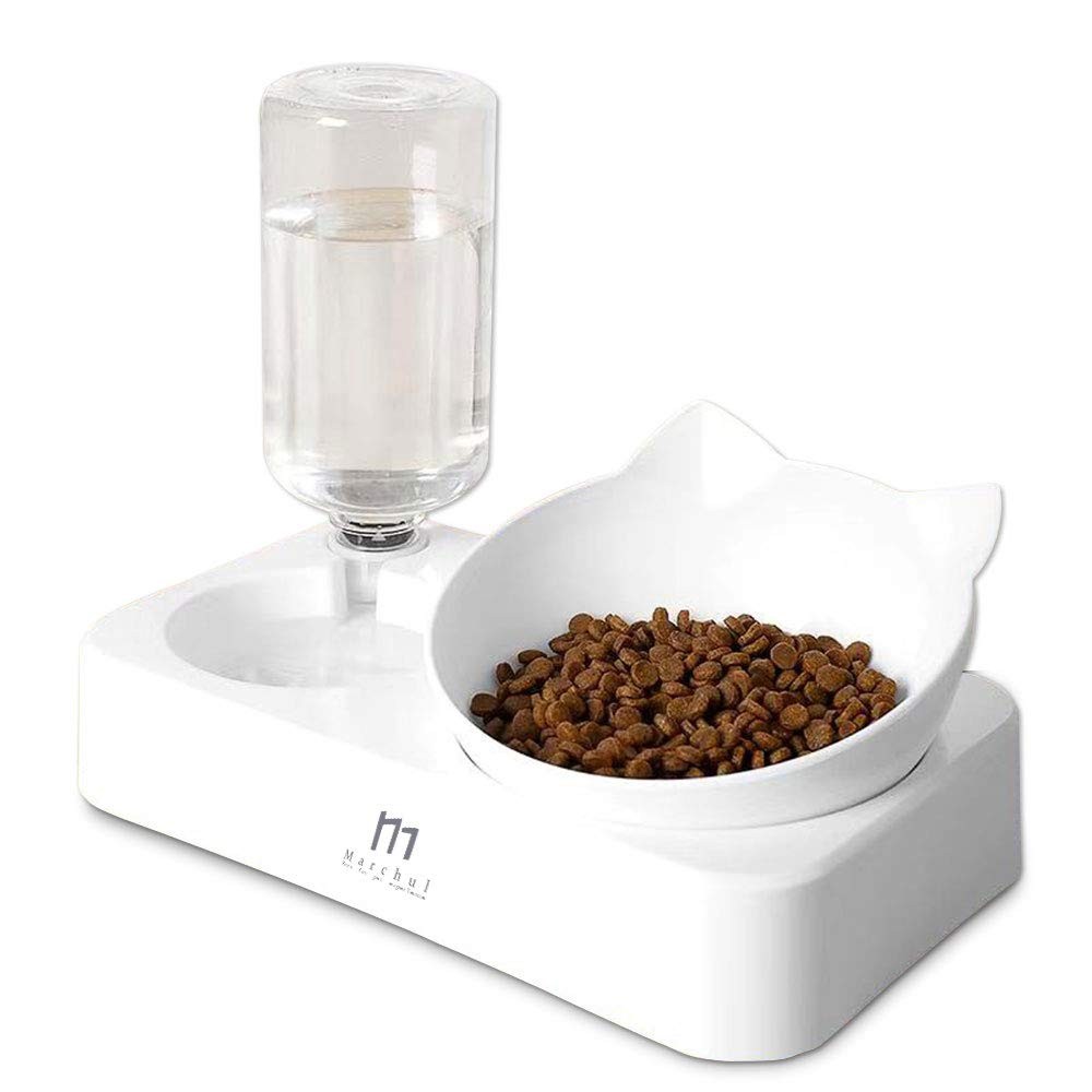 Bowls, 15&deg; Tilted Cat Bowl For Indoor Cats, Dog Food And ...