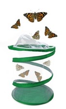 Hagemann Schmetterlings- und Insektennetz, Aufzuchvoliere