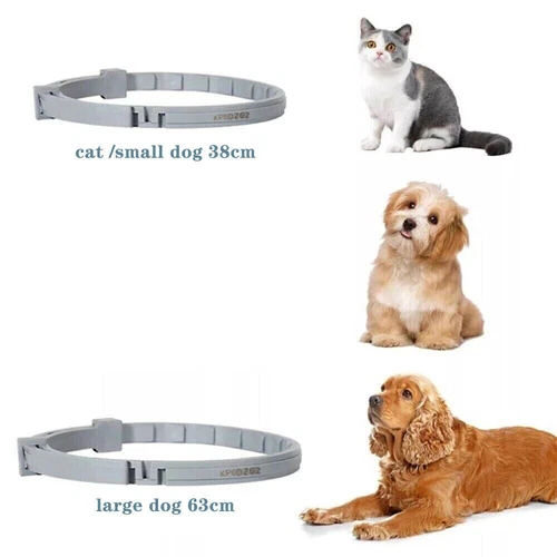Collar Anti Pulgas y Garrapatas Anti Insectos para Mascotas Gatos Perro 8 Meses Protección - Imagen 3 de 21