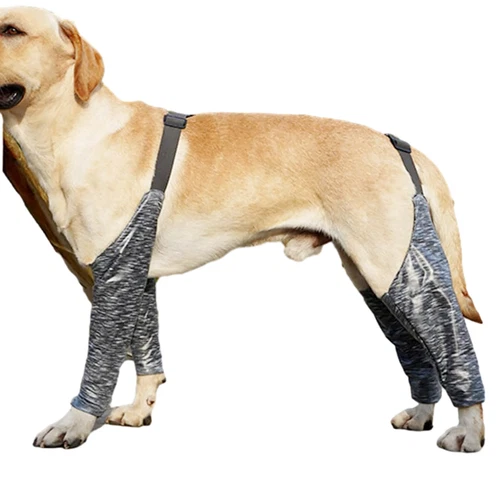 Neues Design verstellbare Hundehose und Ärmel, um zu verhindern, dass Hund Regenerationsanzug lecken - Bild 4 von 16