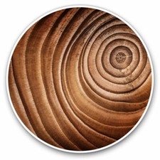 2 x Vinyl Stickers 10cm - Tree Trunk Wood Section Rings Cool Gift #16844