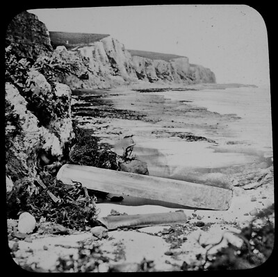 Magic Lantern Slide RAZOR SHELLS C1890 VICTORIAN PHOTO HALF HOUR AT THE SEASIDE