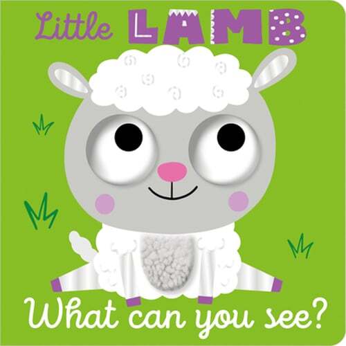 Little Lamb What Can You See? by Cara Jenkins: Used