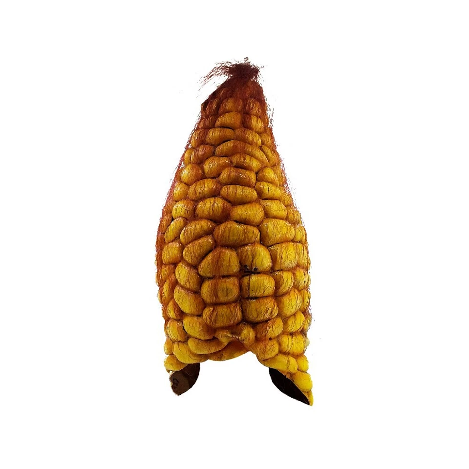 Ghoulish Productions Evil Corn Latex Face Mask Horror Halloween Cosplay - Image 3 of 4