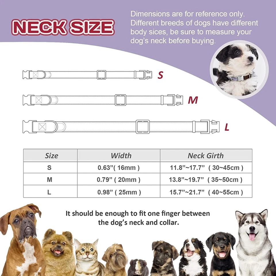 Pet Dog Collar Durable Metal Buckle with D-Ring Adjustable Dog Collars for Small - Image 4 of 4