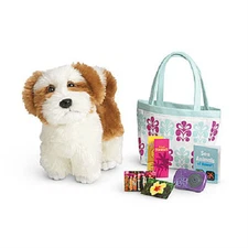 American Girl KANANI'S Doll ACCESSORIES Barksee DOG tote CAMERA for Kanani +