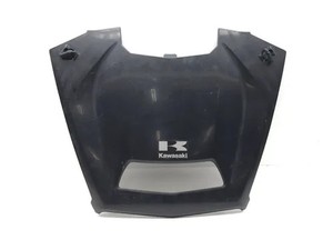 Kawasaki 2021 Teryx KRX 1000 KRF1000 Hood 3392