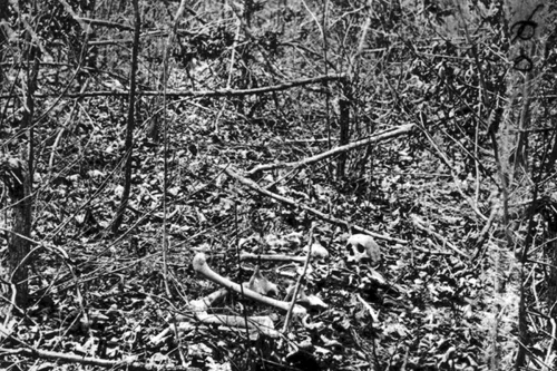 New 5x7 Civil War Photo: Bones on Orange Plank Road, Battle of the Wilderness