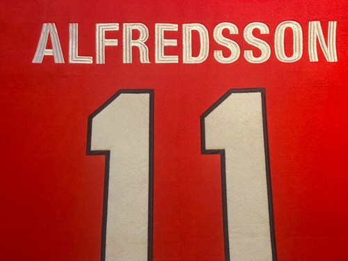 Daniel Alfredsson 24" x 37" Wool Ottawa Senators Jersey Retirement Wall Banner - Picture 4 of 10