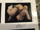 Vintage Shawnee Ceramic Pig Planter Cream Blue Pink 3" tall USA Pottery — photo 4