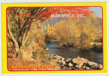 Australia VICTORIA VIC Autumn by River MANSFIELD Rose No.1523 postcard c1980s