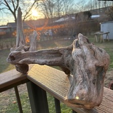 Arched Driftwood Piece 23x9x12 Natural Hardwood Form - Animal Traversal Decor