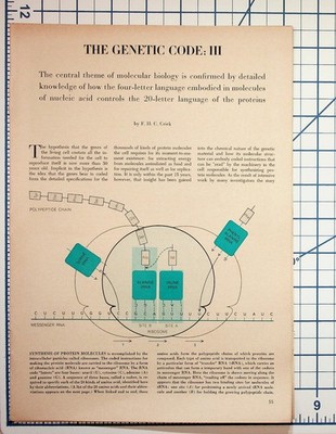 Francis Crick THE GENETIC CODE: III Original Scientific Article Pages 1960s
