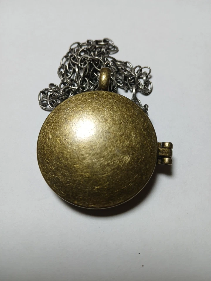 Steampunk Abeja Guardián Colgante Collar Nido de Abeja Resina Caja de Sombras Medallón... Foto 4 de 4