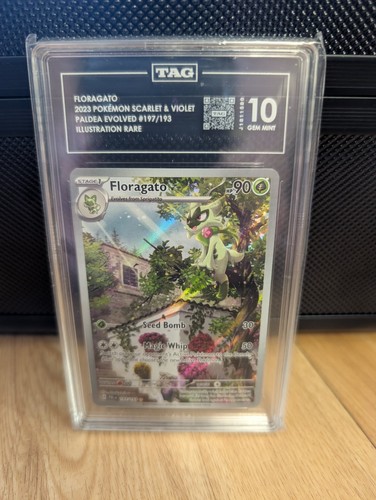 Floragato graded TAG 10 for sale on eBay