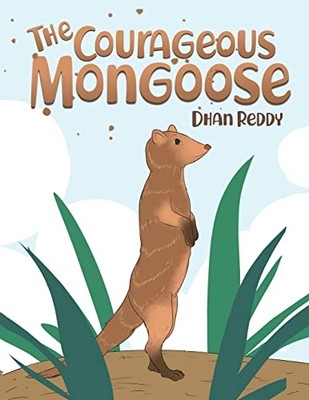 Courageous Mongoose -  NEW Dhan Reddy 2018